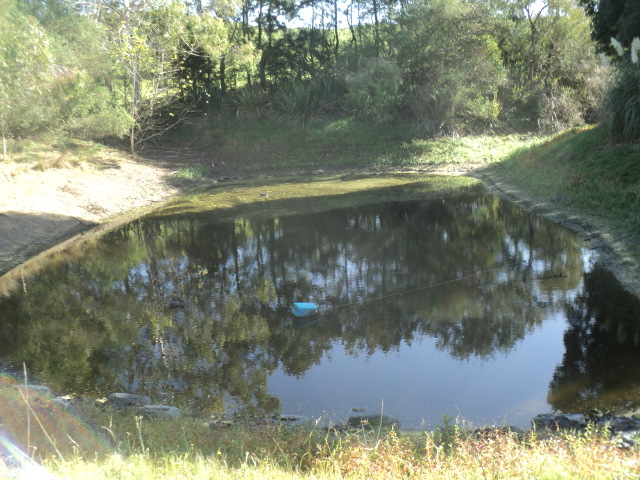 Name:  picture 01 741.jpg
Views: 220
Size:  162.9 KB