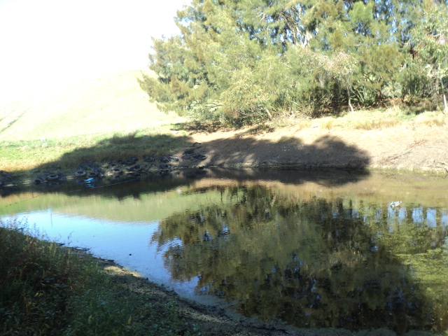 Name:  picture 01 740.jpg
Views: 224
Size:  164.9 KB