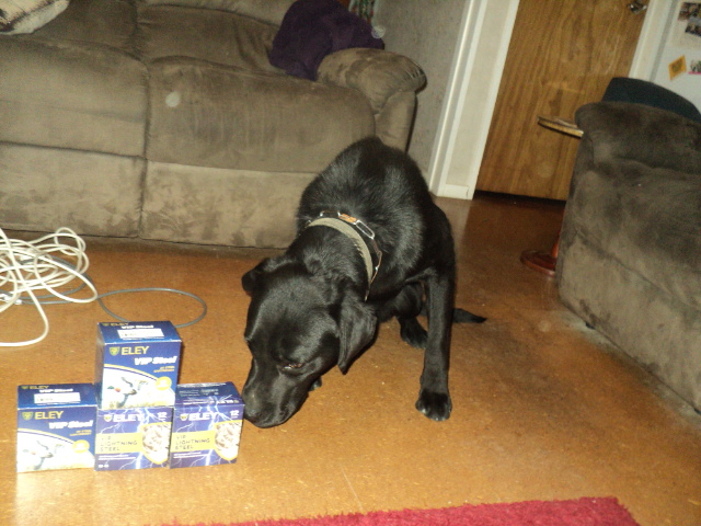 Name:  picture 01 756.jpg
Views: 198
Size:  163.6 KB