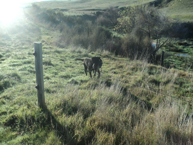 Name:  picture 01 759.jpg
Views: 200
Size:  165.1 KB