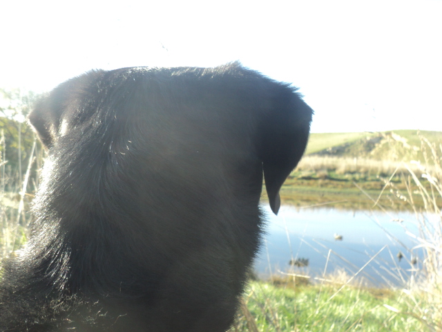 Name:  picture 01 761.jpg
Views: 189
Size:  158.2 KB