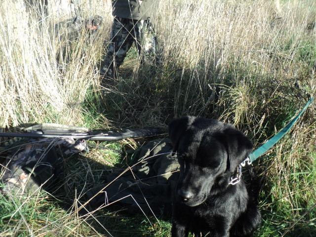 Name:  picture 01 762.jpg
Views: 199
Size:  161.7 KB
