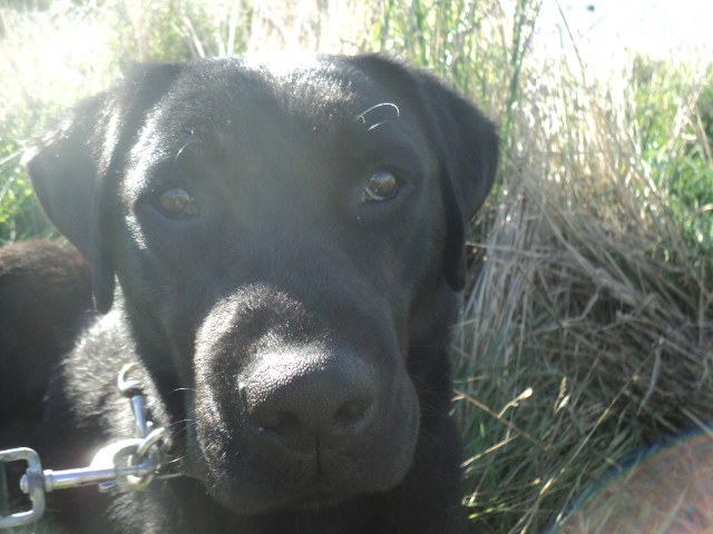 Name:  picture 01 764.jpg
Views: 187
Size:  164.7 KB