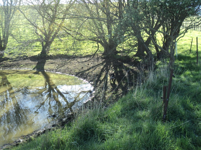 Name:  picture 01 766.jpg
Views: 191
Size:  164.9 KB