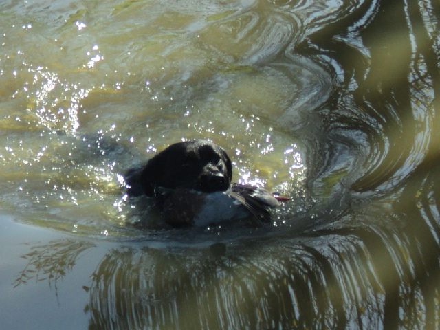 Name:  picture 01 770.jpg
Views: 189
Size:  164.4 KB
