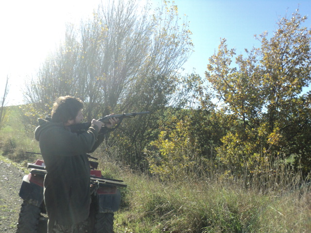 Name:  picture 01 772.jpg
Views: 182
Size:  164.5 KB