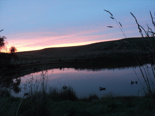 Name:  picture 01 782.jpg
Views: 247
Size:  165.1 KB