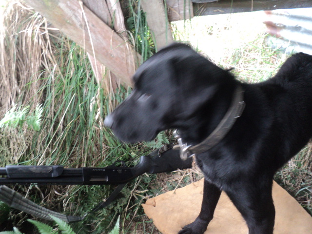 Name:  picture 01 796.jpg
Views: 264
Size:  165.0 KB