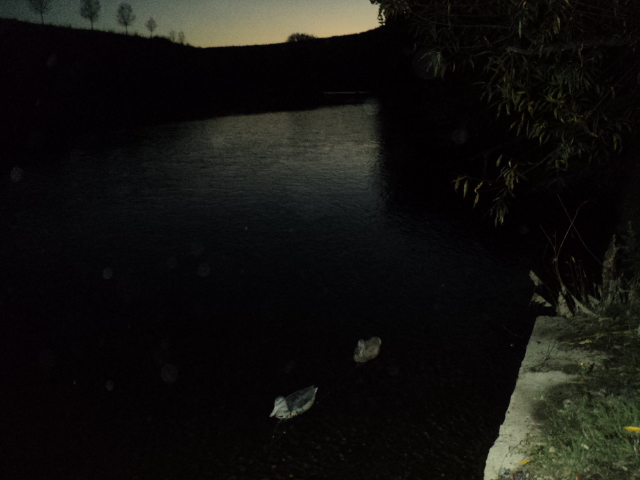 Name:  picture 01 823.jpg
Views: 300
Size:  163.1 KB