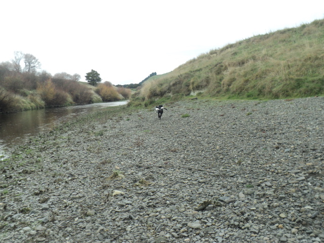Name:  picture 01 842.jpg
Views: 186
Size:  164.0 KB