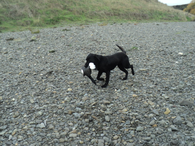 Name:  picture 01 843.jpg
Views: 205
Size:  164.3 KB