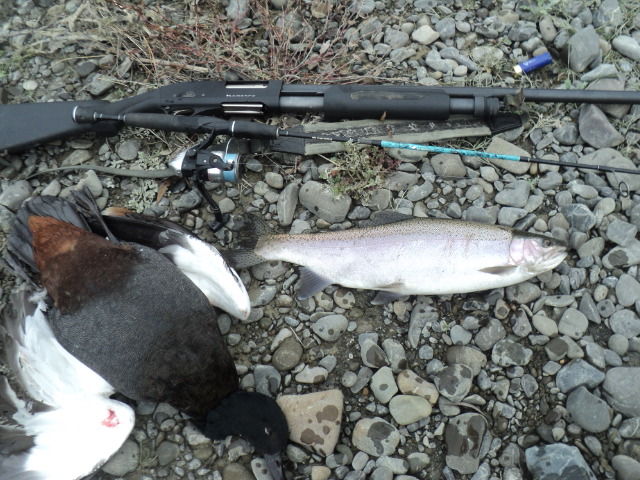 Name:  picture 01 846.jpg
Views: 183
Size:  164.9 KB