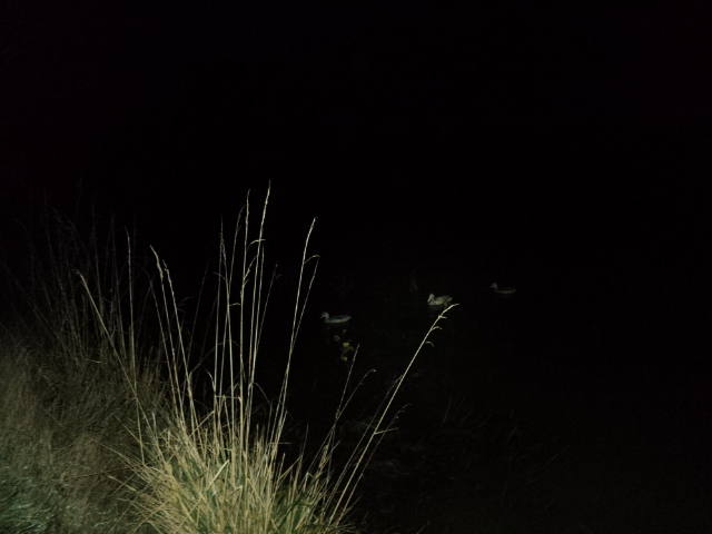 Name:  picture 01 885.jpg
Views: 268
Size:  162.3 KB