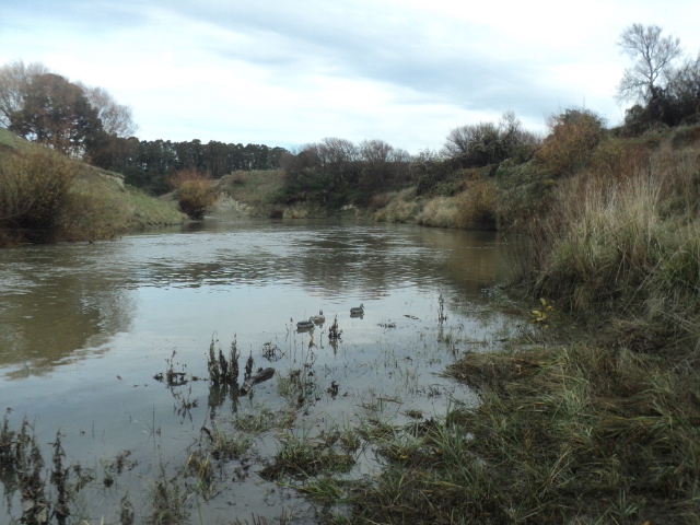 Name:  picture 01 894.jpg
Views: 223
Size:  164.2 KB