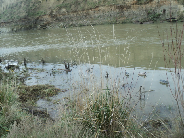 Name:  picture 01 895.jpg
Views: 223
Size:  164.9 KB