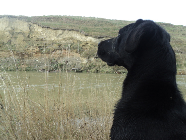 Name:  picture 01 896.jpg
Views: 219
Size:  164.6 KB