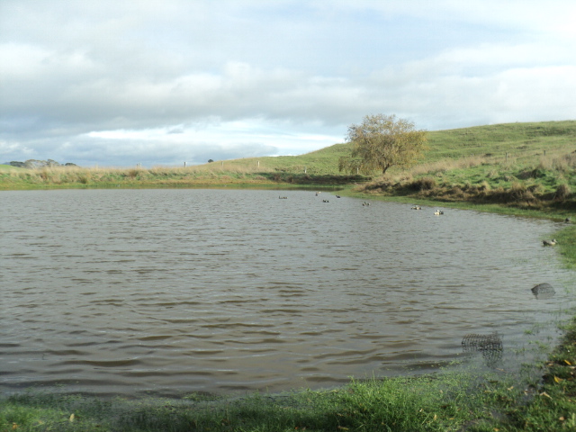 Name:  picture 01 905.jpg
Views: 177
Size:  161.2 KB