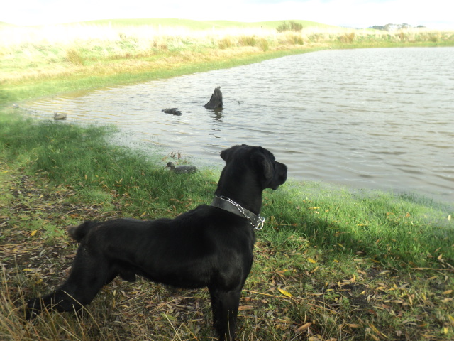 Name:  picture 01 906.jpg
Views: 167
Size:  163.5 KB