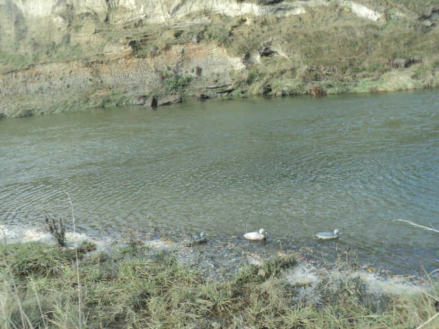 Name:  picture 01 907.jpg
Views: 255
Size:  165.2 KB