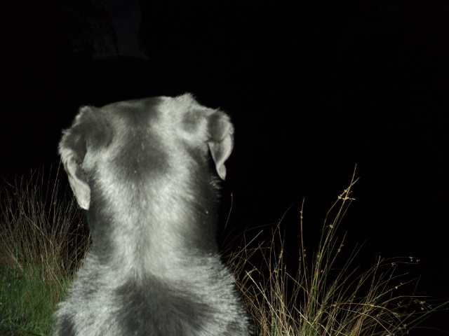 Name:  picture 01 913.jpg
Views: 247
Size:  165.1 KB