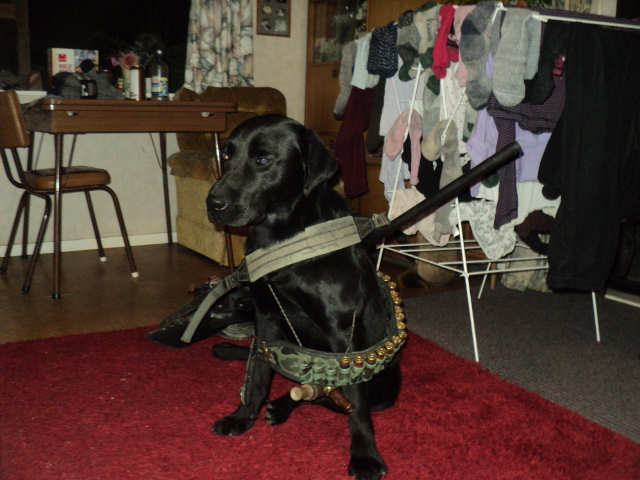 Name:  picture 01 927.jpg
Views: 168
Size:  163.2 KB