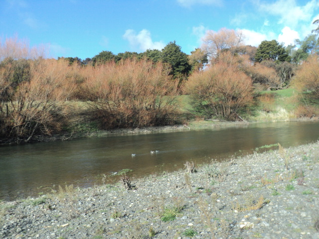 Name:  picture 01 939.jpg
Views: 172
Size:  163.3 KB