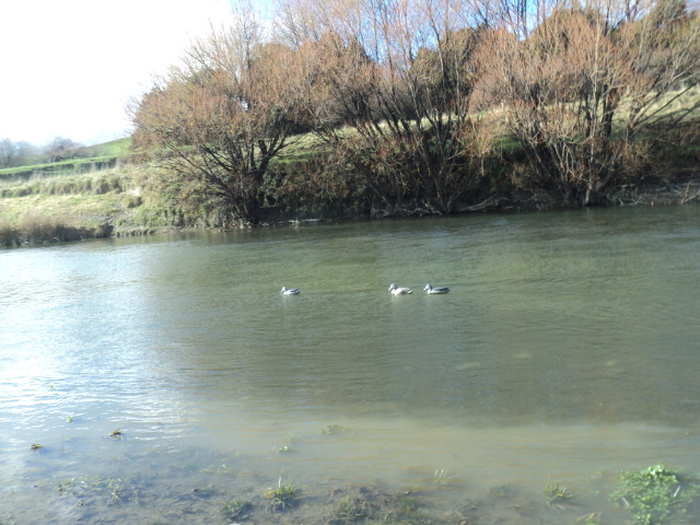 Name:  picture 01 937.jpg
Views: 168
Size:  164.0 KB
