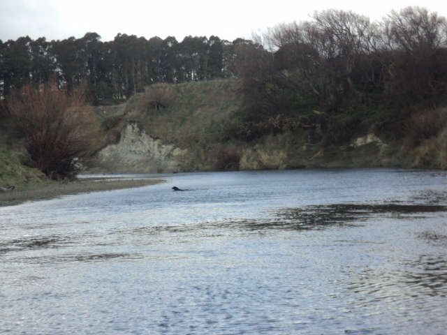 Name:  picture 01 934.jpg
Views: 162
Size:  163.8 KB