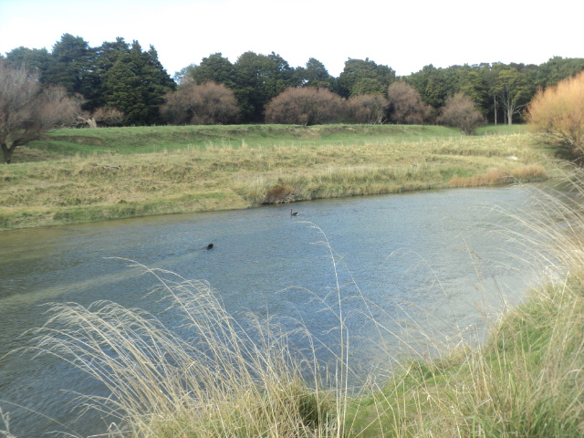 Name:  picture 01 935.jpg
Views: 147
Size:  164.1 KB