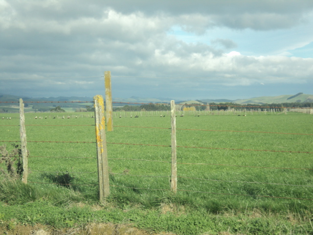 Name:  picture 01 960.jpg
Views: 346
Size:  164.5 KB