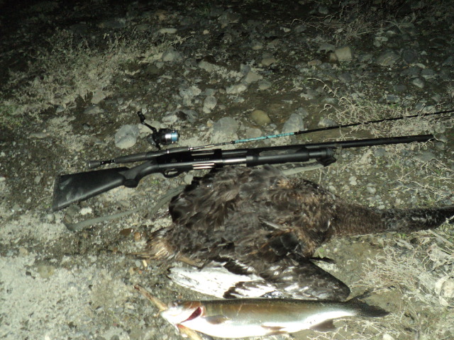 Name:  picture 01 970.jpg
Views: 336
Size:  164.7 KB