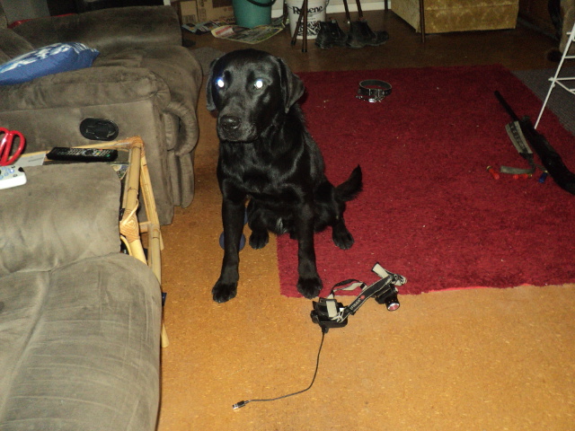 Name:  picture 01 959.jpg
Views: 323
Size:  163.0 KB