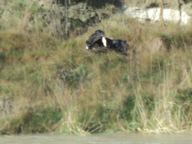 Name:  picture 01 1089.jpg
Views: 328
Size:  165.3 KB