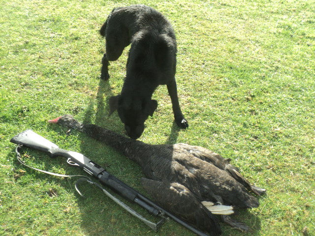 Name:  picture 01 1094.jpg
Views: 342
Size:  164.8 KB