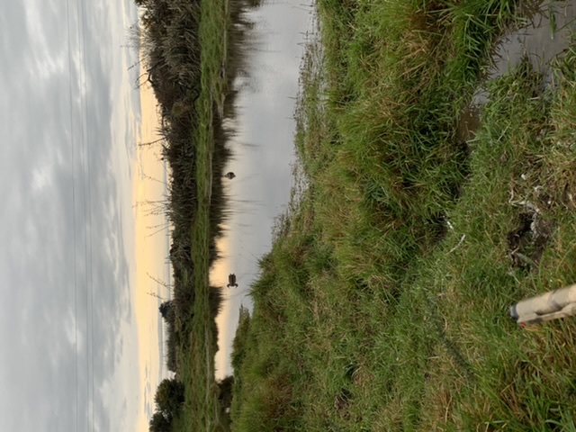 Name:  6EB252D2-A849-4B24-BF51-7003CA2BFEE4.jpeg
Views: 230
Size:  121.5 KB