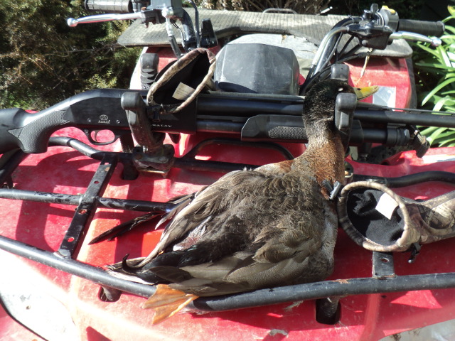 Name:  picture 01 1250.jpg
Views: 206
Size:  162.2 KB