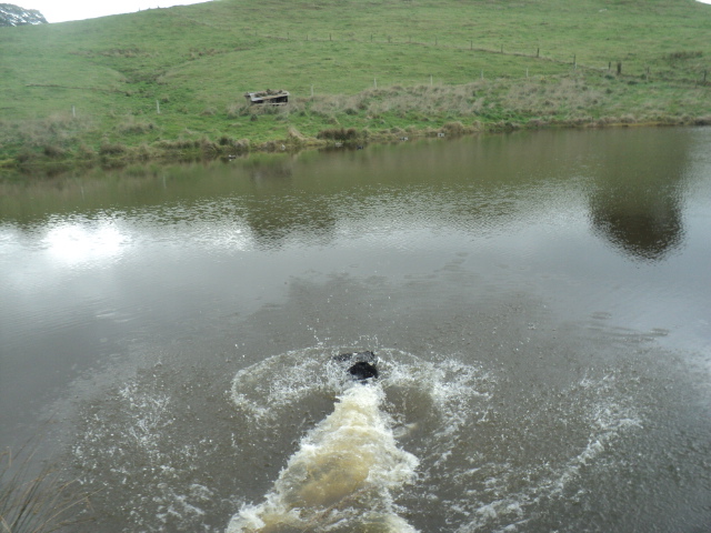 Name:  picture 01 1260.jpg
Views: 142
Size:  164.9 KB