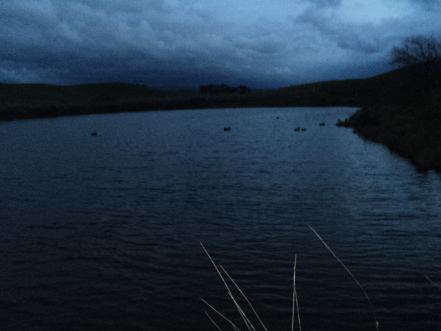 Name:  picture 01 1275.jpg
Views: 254
Size:  164.9 KB