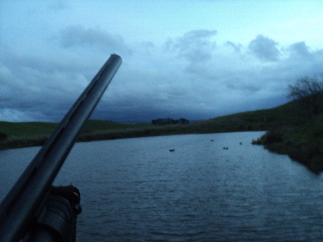 Name:  picture 01 1276.jpg
Views: 240
Size:  163.0 KB