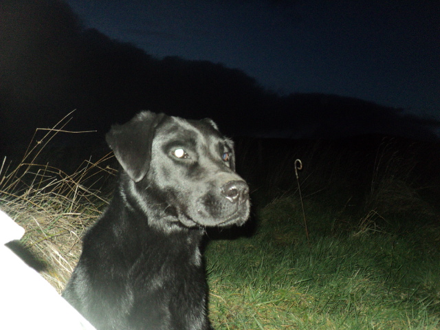 Name:  picture 01 1281.jpg
Views: 238
Size:  164.5 KB