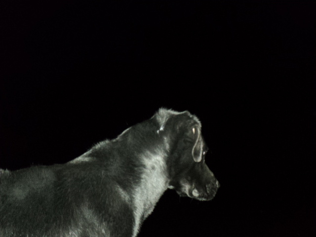 Name:  picture 01 1284.jpg
Views: 227
Size:  142.6 KB