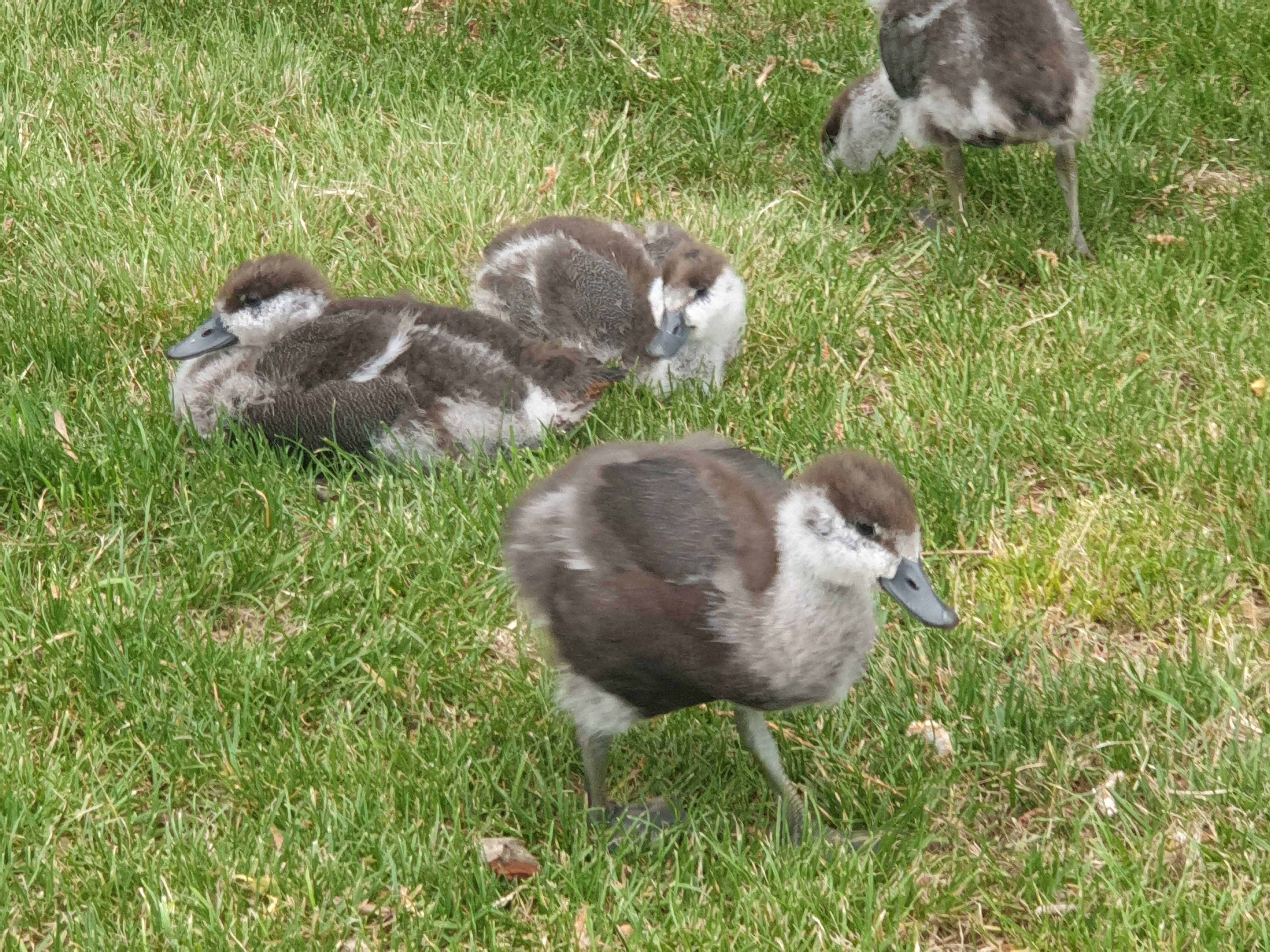 Name:  20201118_073319.jpg
Views: 1103
Size:  1.06 MB