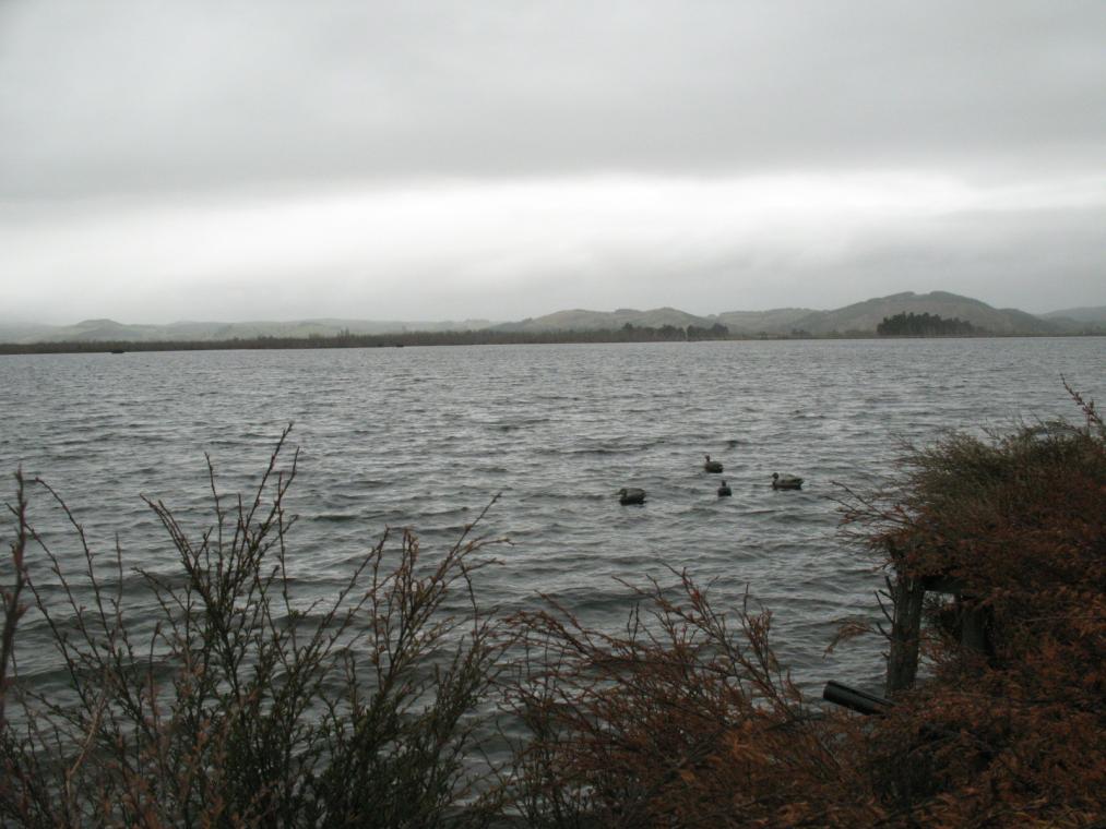 Name:  IMG_0924.jpg
Views: 197
Size:  92.4 KB