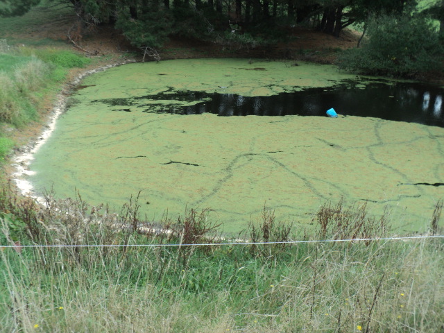 Name:  picture 01 3068.jpg
Views: 654
Size:  163.0 KB