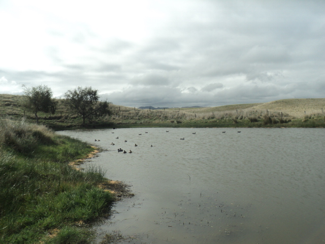 Name:  picture 01 3129.jpg
Views: 517
Size:  162.5 KB