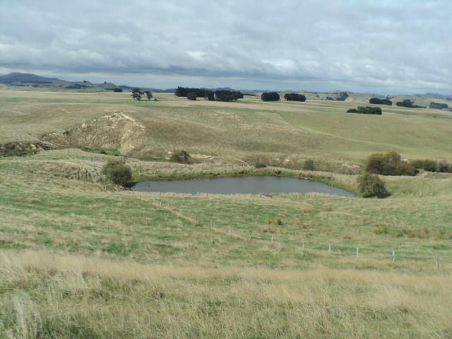 Name:  picture 01 3130.jpg
Views: 672
Size:  165.1 KB