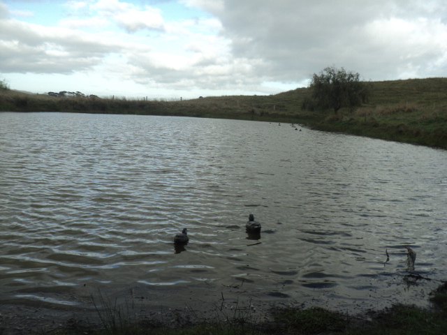 Name:  picture 01 3175.jpg
Views: 577
Size:  163.0 KB