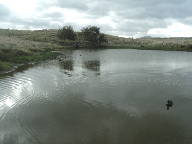 Name:  picture 01 3177.jpg
Views: 666
Size:  164.0 KB