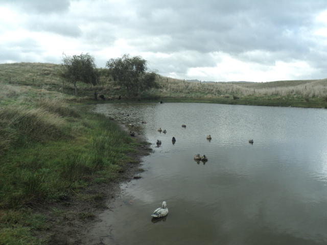 Name:  picture 01 3178.jpg
Views: 653
Size:  158.9 KB