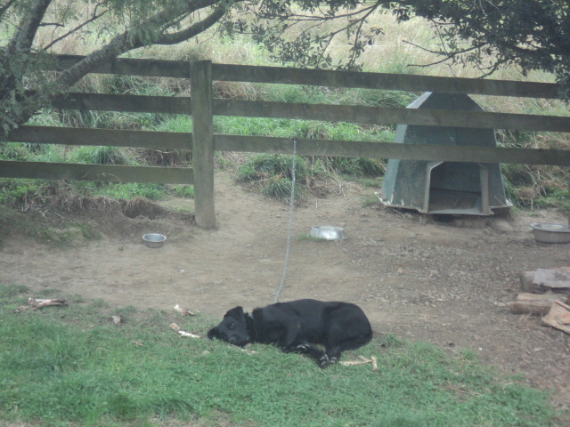 Name:  picture 01 3180.jpg
Views: 674
Size:  164.7 KB